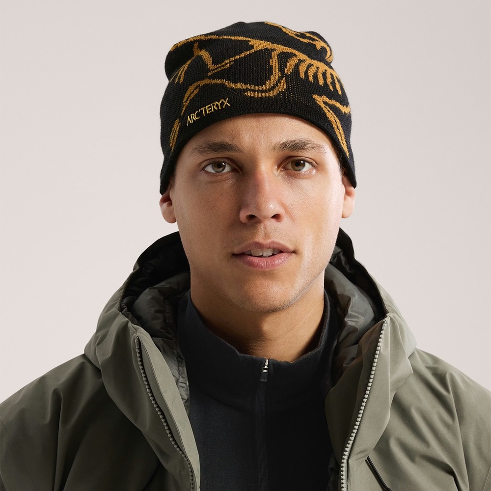 NWT BIRD HEAD TOQUE Arc'teryx Men's Hat